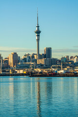 Auckland city