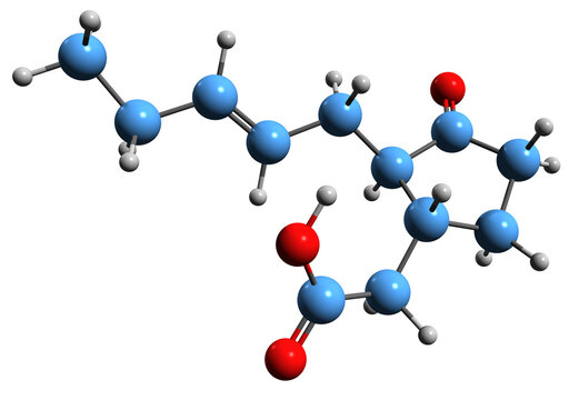  3D image of Jasmonic acid skeletal formula - molecular chemical structure of  plant hormone isolated on white background
