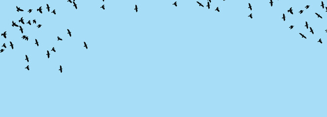 Banner. Blue background with black birds in flight.