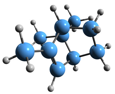  3D image of zita fenchen skeletal formula - molecular chemical structure of phytochemical isolated on white background