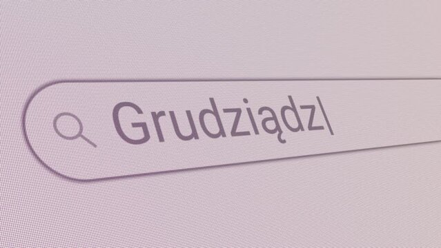 Search Bar Grudziadz 
Close Up Single Line Typing Text Box Layout Web Database Browser Engine Concept