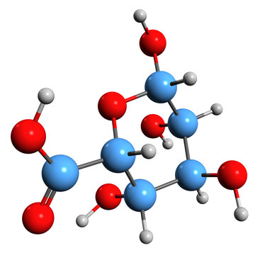 3D image of Iduronic acid skeletal formula - molecular chemical structure of  metabolite IdoA isolated on white background
