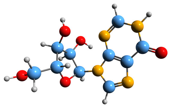  3D image of Inosine skeletal formula - molecular chemical structure of  nucleoside isolated on white background
