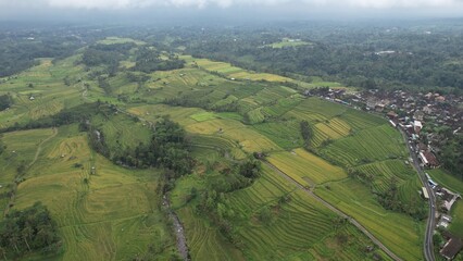 Bali, Indonesia - November 13, 2022: The Bali Terrace Rice Fields