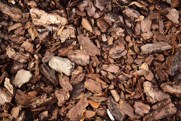 tree bark chips