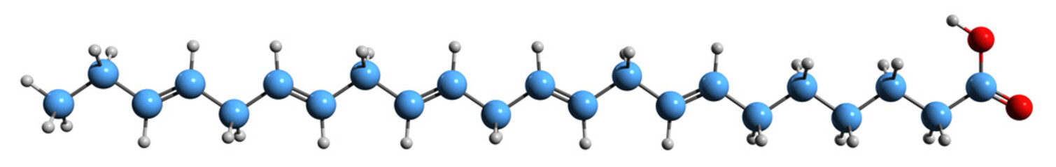  3D image of Docosapentaenoic acid skeletal formula - molecular chemical structure of polyunsaturated fatty acid  isolated on white background
