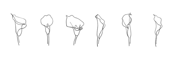 Line art Callas set on white background. Vector Callas flowers outline design. Calla Lily clipart illustration