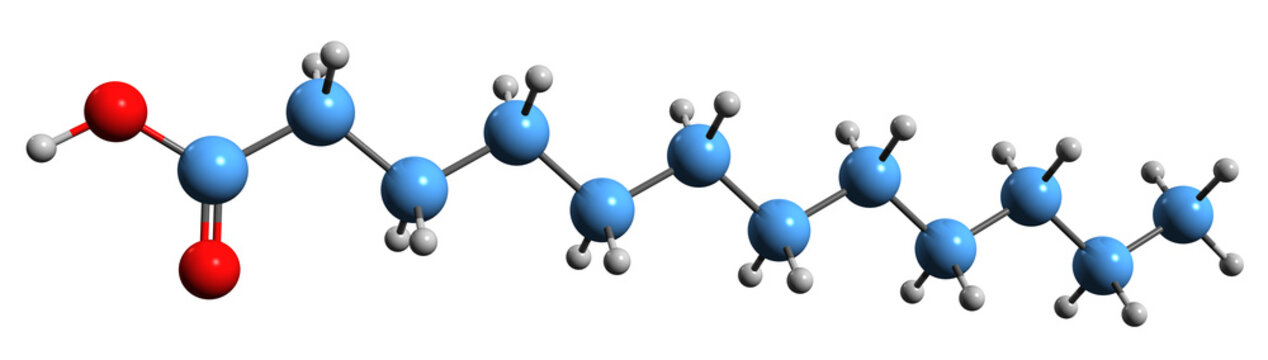  3D image of Lauric acid skeletal formula - molecular chemical structure of Dodecanoic acid isolated on white background
