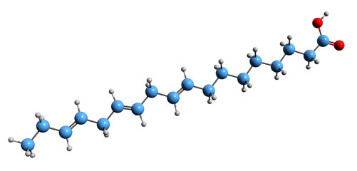  3D image of alpha-Linolenic acid skeletal formula - molecular chemical structure of Octadecatrienoic acid isolated on white background
