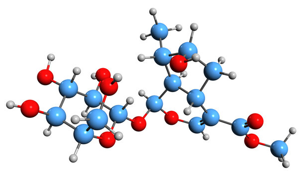  3D image of Loganin skeletal formula - molecular chemical structure of iridoid glycoside Loganoside isolated on white background

