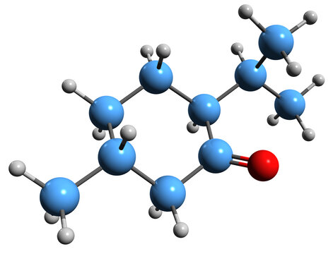 3D image of Menthone skeletal formula - molecular chemical structure of cyclohexanone isolated on white background
