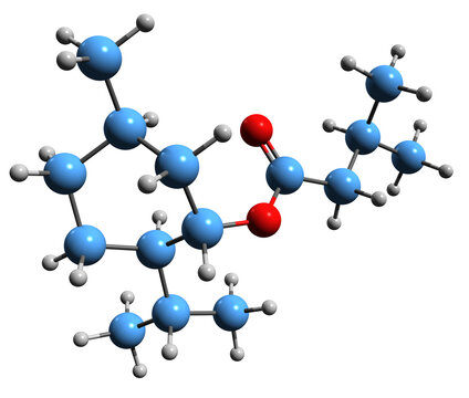  3D image of Menthyl butyrate skeletal formula - molecular chemical structure of 2-Isopropyl-5-methylcyclohexyl butyrate isolated on white background
