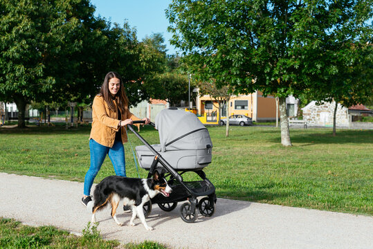 Happy mother with stroller and dog in park