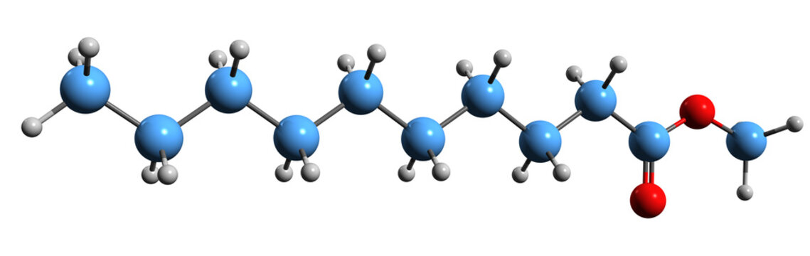  3D image of Methyl decanoate skeletal formula - molecular chemical structure of phytochemical isolated on white background
