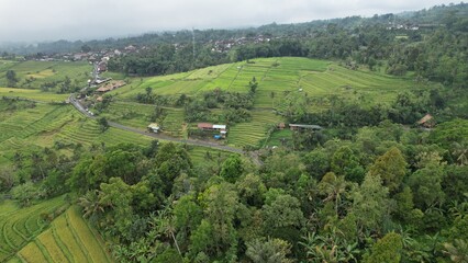 Bali, Indonesia - November 13, 2022: The Bali Terrace Rice Fields