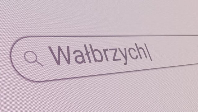 Search Bar Walbrzych 
Close Up Single Line Typing Text Box Layout Web Database Browser Engine Concept