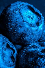 Vertical macro shot of blueberries with waterdrops on the against black background