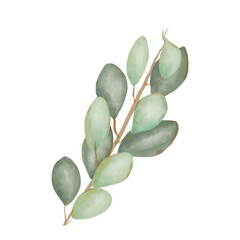 Obraz na płótnie Canvas Watercolor branch of a tree