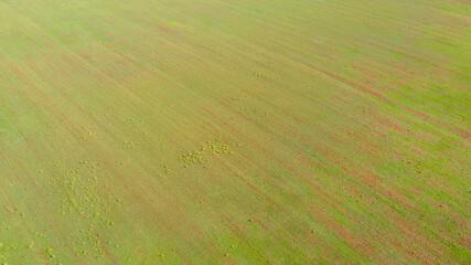 Obraz premium Aerial view of green grass field.