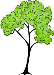 Tree with green leaves. Isolated design element.