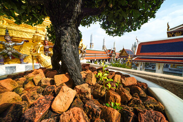 View of the interior of Wat Phra Kaew, Bangkok, Thailand, with a large pot of plants, many...