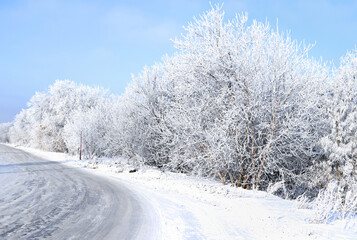 winter forest with frost on the trees on a sunny day,the road is covered with snow