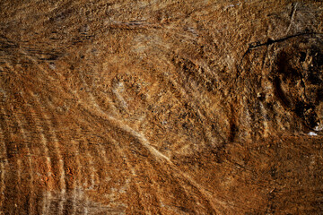 texture of wood