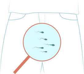 Concept of man trousers and magnifier demonstrating the male reproductive research. 