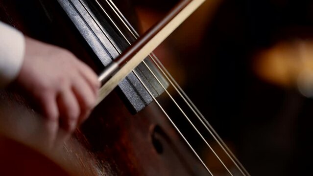 macro strings of a classical musical instrument contrabass musician produces sound by moving the bow