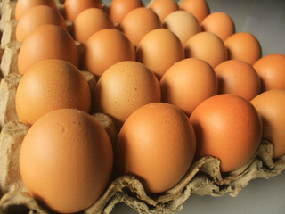Raw chicken eggs in carton tray, closeup