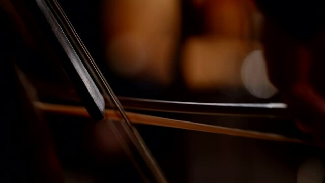 macro strings of the double bass while playing at a concert, the musician moves the bow