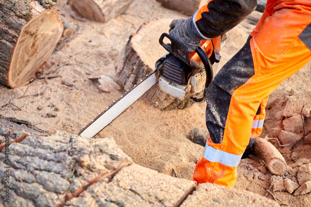 Poster a woodcutter saws a tree with a chainsaw