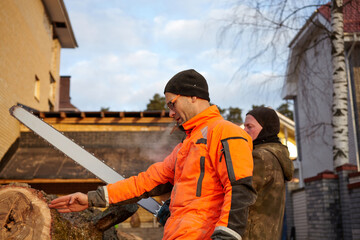 A woodcutter saws a tree with a chainsaw