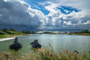 Naturschutzgebiet Geltinger Birk, Gelting, Nieby, Flensburger Förde, Ostsee, Schleswig-Holstein,...