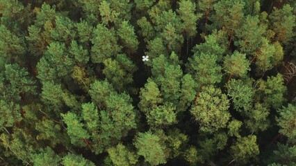 Forest health inspection monitoring with autonomous drone quad copter