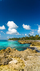 Fototapeta premium Playa de aguas turquesas con palmeras paisaje increíble 