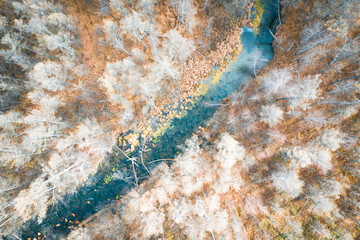 Aerial photography vertical shot of forest in autumn