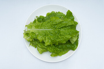 Fresh looking lettuce leaves in a bowl