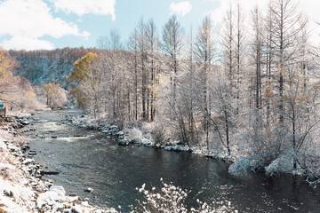 Arxan national forest park canyon in winter with snow