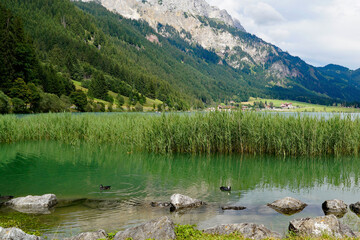 scenic emerald-green alpine lake Haldensee surrounded by lush green trees in the Alps of the Tannheim valley or Tannheimer Tal, Tirol, Austria	