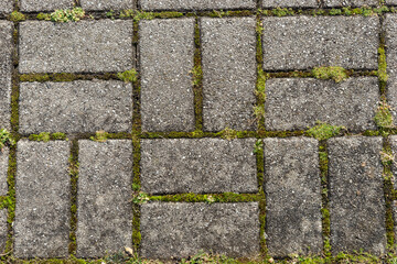 Rectangular paving stones with moss