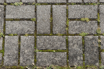 Rectangular paving stones with moss