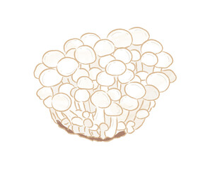 Isolated group of white beech mushroom in flat vector illustration