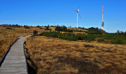 Gipfelhochmoor auf der Hornisgrinde mit Türme und Windrad , Schwarzwald; Baden Württemberg;...