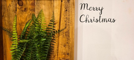 merry christmas and new year in minimalist decor with plant