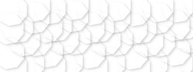 Abstract white and grey geometric hexagon background with shadow. Hexagonal pattern background. Vector illustration.	