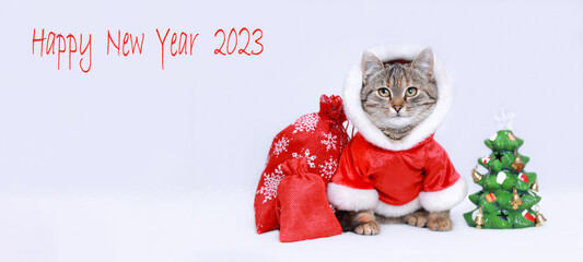 Greeting card Happy New Year 2023. Cat in Santa costume.  Beautiful holiday web banner with copy space. Kitten looks at the inscription 2023. Kitten Santa Claus on the white background. Presents