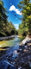 river in the forest