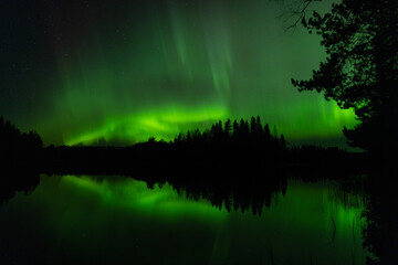 Strong Aurora borealias by the lake in eastern Finland in autumn night.