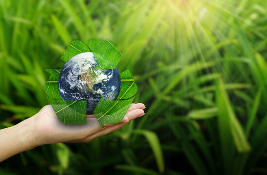Save earth concept. Hands with Earth and recycle logo over green nature background. Earth image courtesy of NASA.	              